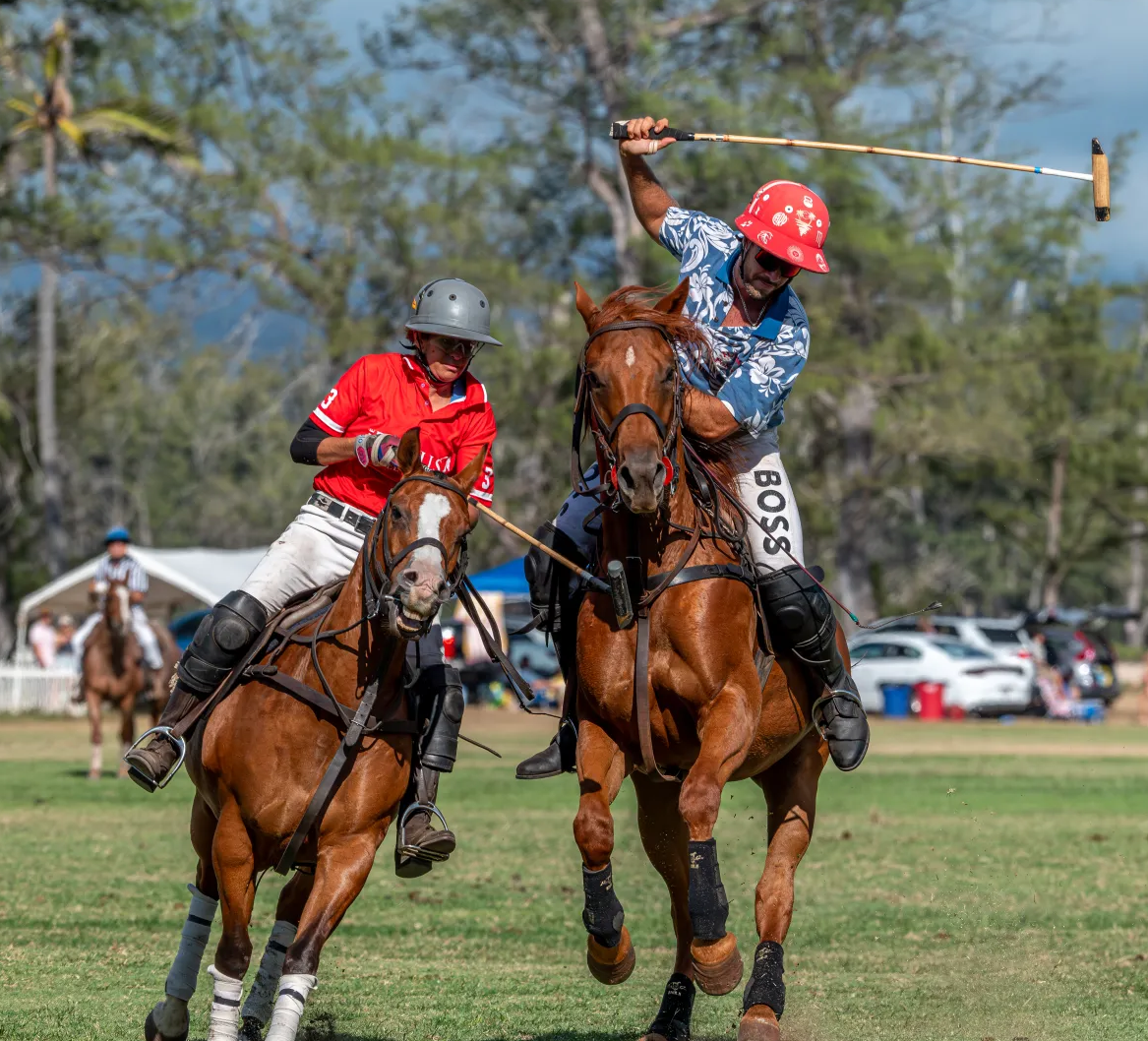 Hawaii Polo Club